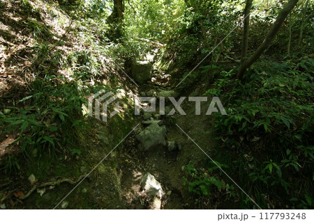 鳥取　四季の散歩　春　三徳山 117793248