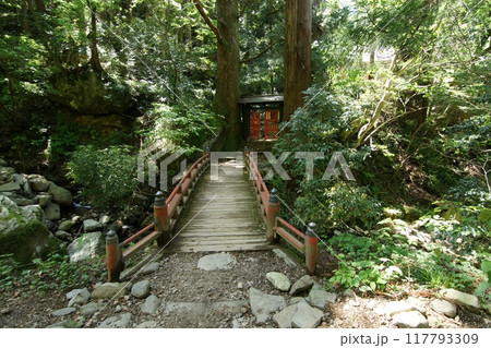 鳥取 四季の散歩 春 三徳山 鳥取 四季の散歩 春 三徳山 117793309
