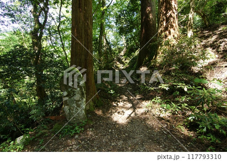 鳥取　四季の散歩　春　三徳山 117793310