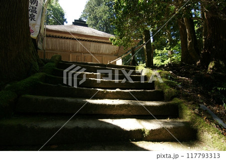 鳥取　四季の散歩　春　三徳山 117793313