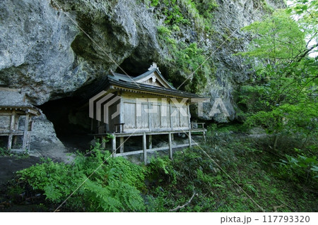 鳥取　四季の散歩　春　三徳山 117793320