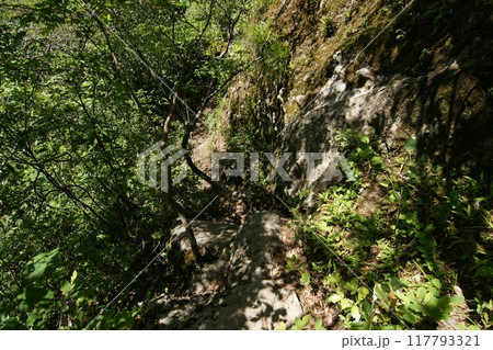 鳥取 四季の散歩 春 三徳山 鳥取 四季の散歩 春 三徳山 117793321