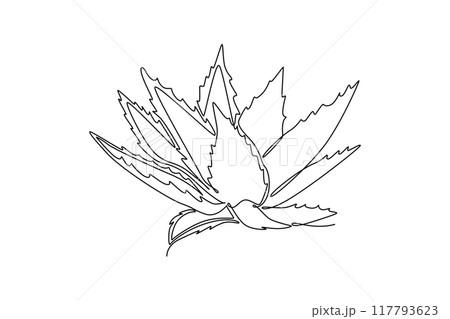 save - one time 117793623