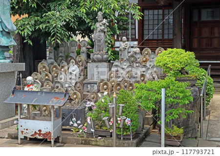 本照寺(練馬) 本照寺(練馬) 117793721