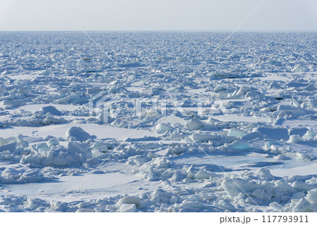 知床の海岸を埋めつくす流氷 117793911