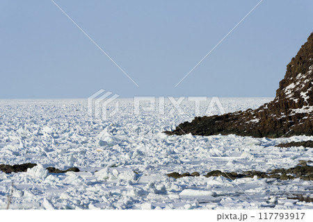 知床の海岸を埋めつくす流氷 知床の海岸を埋めつくす流氷 117793917