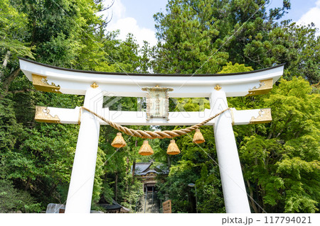 埼玉県秩父郡長瀞町 宝登山神社 埼玉県秩父郡長瀞町 宝登山神社 117794021