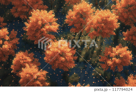 Aerial photo of an autumn forest with golden-leafed trees. 117794024