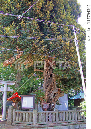 小豆沢神社(板橋) 小豆沢神社(板橋) 117794340
