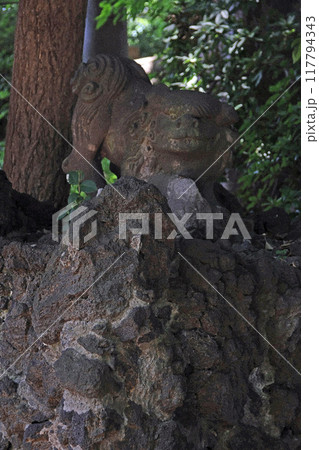 小豆沢神社（板橋） 117794343