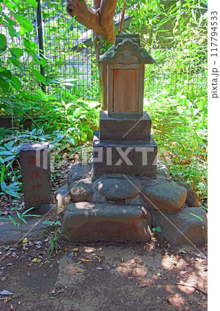 小豆沢神社（板橋） 117794533