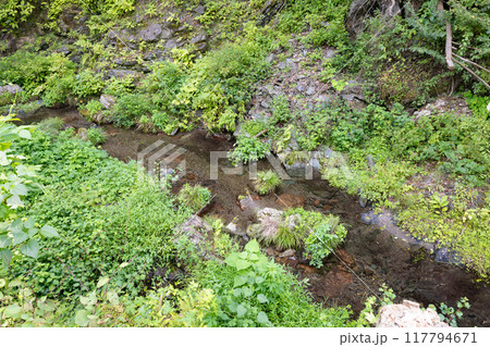 埼玉県秩父郡皆野町 秩父華厳の滝から流れる日野沢川 埼玉県秩父郡皆野町 秩父華厳の滝から流れる日野沢川 117794671