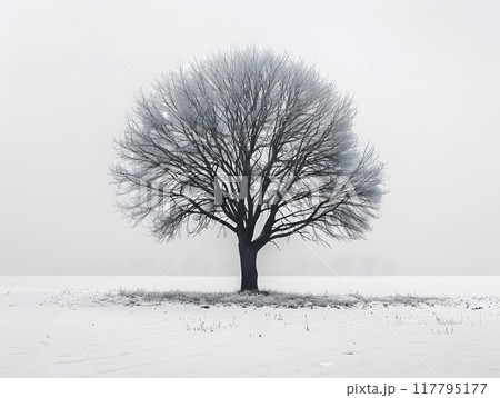 A solitary tree stands tall in the midst of a snowcovered landscape, offering a tranquil and serene winter scene engulfed in silence and calmness, bringing a sense of peace and stillness 117795177