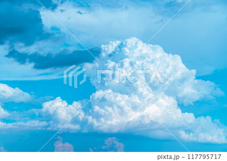 夏の青空に沸き立つ入道雲　a-2-3 ライトカラー 117795717