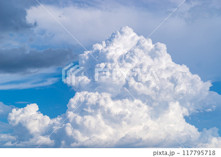 夏の青空に沸き立つ入道雲　a-3-1 117795718