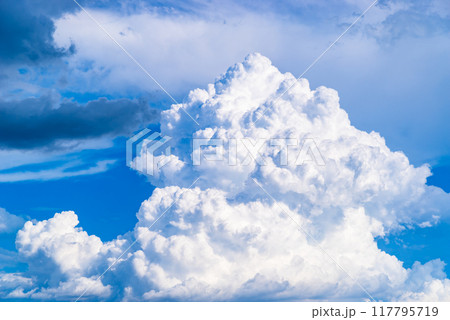夏の青空に沸き立つ入道雲 a-3-2 高彩度コントラスト 夏の青空に沸き立つ入道雲 a-3-2 高彩度コントラスト 117795719