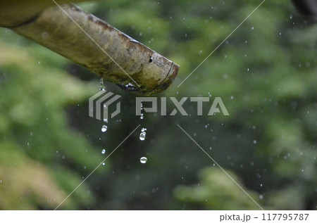 京都雨だれ 117795787