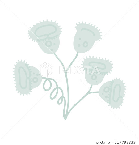 ツリガネムシ ツリガネムシ 117795835