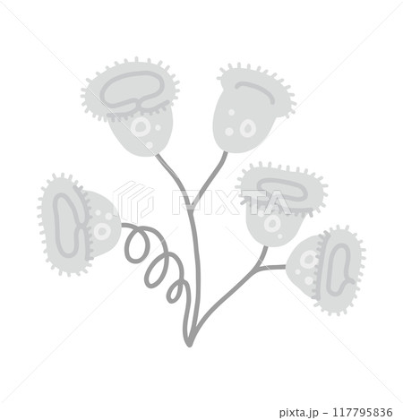 ツリガネムシ・モノクロ 117795836