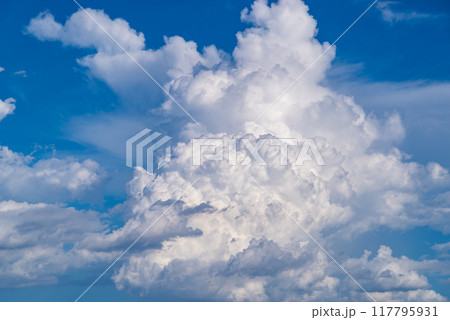 夏の青空に沸き立つ入道雲 d-2-1 夏の青空に沸き立つ入道雲 d-2-1 117795931