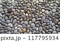 丸い石の石垣 117795934