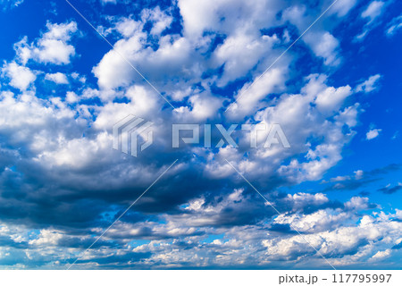 晩夏の青空に広がる白い雲　b-2 高彩度コントラスト 117795997