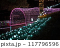 イルミネーションのトンネル 117796596