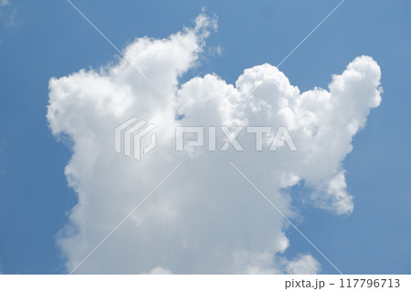 blue sky with cloud. natural background with copy space. blue sky with cloud. natural background with copy space. 117796713