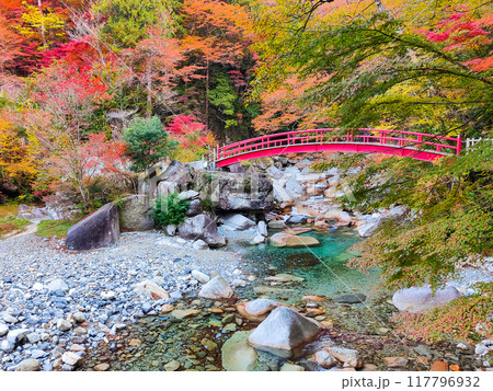 夕森渓谷(秋) 夕森渓谷(秋) 117796932