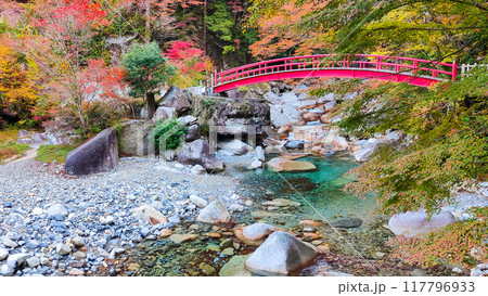 夕森渓谷（秋） 117796933