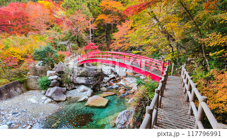 夕森渓谷（秋） 117796991