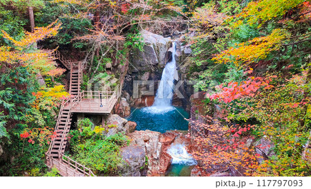 夕森渓谷（秋）：竜神の滝 117797093