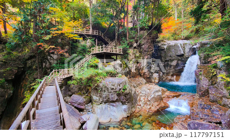 夕森渓谷（秋）：竜神の滝 117797151