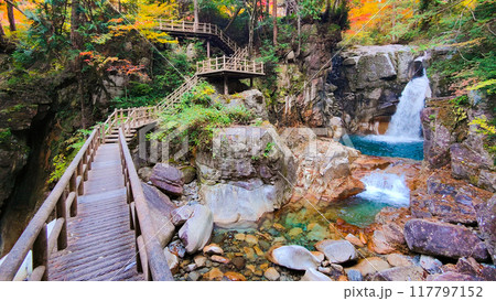 夕森渓谷(秋):竜神の滝 夕森渓谷(秋):竜神の滝 117797152