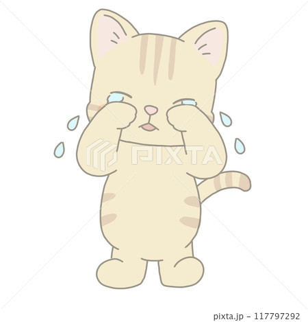 泣いている猫 茶トラ猫 泣いている猫 茶トラ猫 117797292