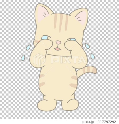 泣いている猫 茶トラ猫 泣いている猫 茶トラ猫 117797292