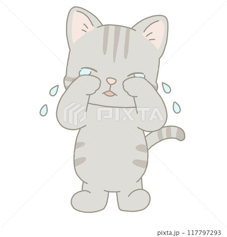 泣いている猫 泣いている猫 117797293
