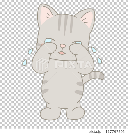泣いている猫 泣いている猫 117797293