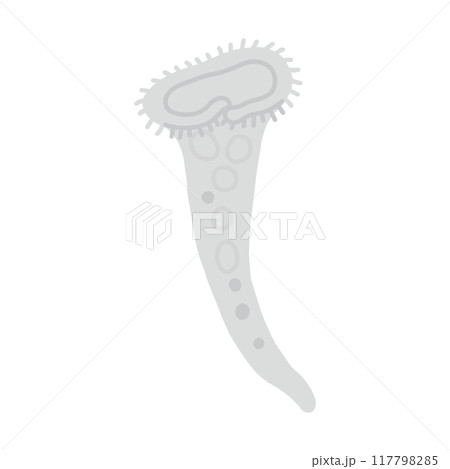 ラッパムシ・モノクロ 117798285