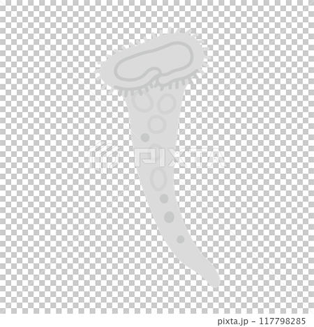 ラッパムシ・モノクロ 117798285