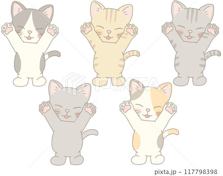 バンザイする色んな猫のセット バンザイする色んな猫のセット 117798398