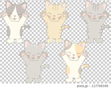 バンザイする色んな猫のセット バンザイする色んな猫のセット 117798398