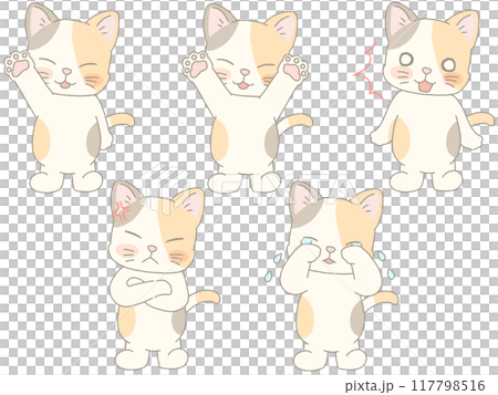 三毛猫色んなポーズのセット 117798516