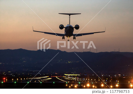 伊丹空港に着陸する飛行機 117798753