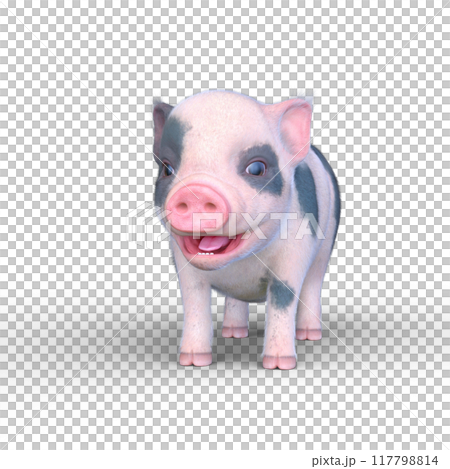 Mini pig Mini pig 117798814