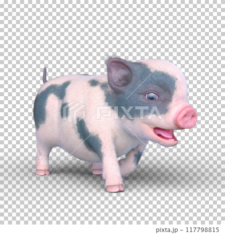 Mini pig Mini pig 117798815