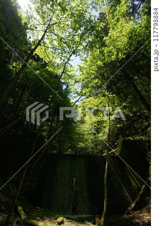 鳥取 四季の散歩 春 那岐山 登山 鳥取 四季の散歩 春 那岐山 登山 117798884