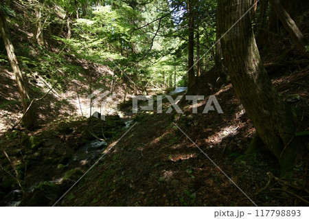 鳥取 四季の散歩 春 那岐山 登山 鳥取 四季の散歩 春 那岐山 登山 117798893