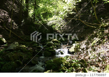 鳥取 四季の散歩 春 那岐山 登山 鳥取 四季の散歩 春 那岐山 登山 117798897
