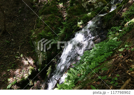 鳥取　四季の散歩　春　那岐山　登山 117798902